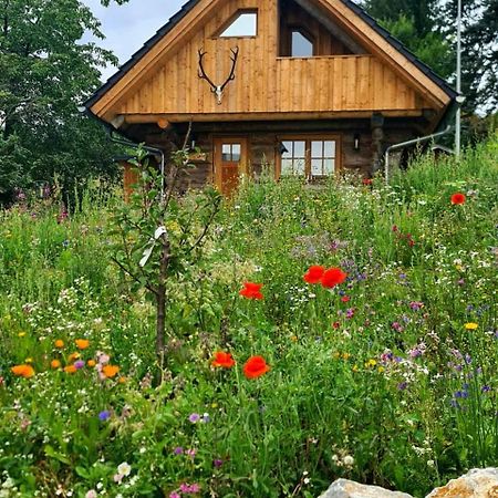 Blockhaus Panhuette Villa เบราน์ลาเกอ ภายนอก รูปภาพ